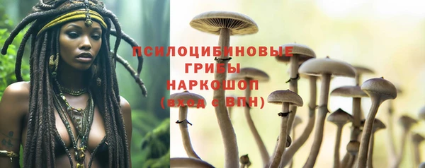 spice Абинск