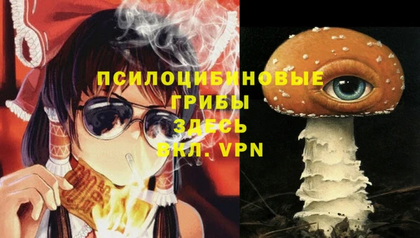 тгк Алексин
