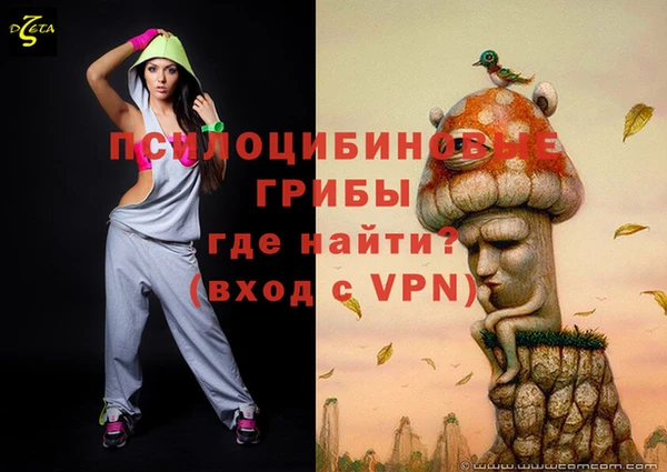 spice Абинск