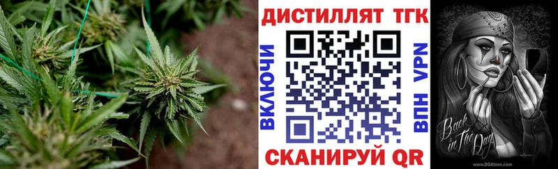 Дистиллят ТГК Wax  дарнет шоп  Венёв 